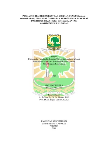 Kazarmadagi ikki askarning seks videosi